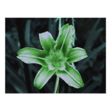 floral photo art