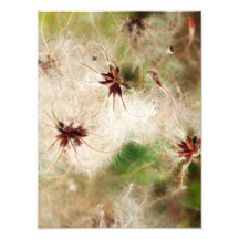 floral art photo