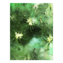 floral art photo