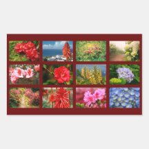 Floral photography stickers