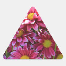 Floral, Pink Chrysanthemums, yellow center Triangle Sticker