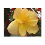 Floral Postcard