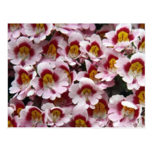 floral postcard