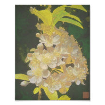 Floral Rhapsody in Gold and White Photo Print
