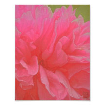 Floral Rhapsody in Magenta and Red Photographic Print