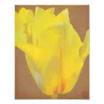 Floral Rhapsody in Yellow Art Photo