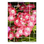 Floral Smiles cards