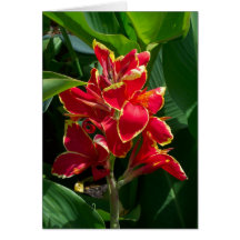 Floral Sympathy Card