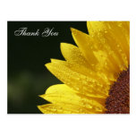 Floral Thank You Cards Postcard
