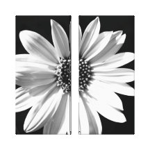 floral toiles tendues