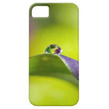 floral water droplet