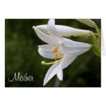 Floral White Lily Photo Mother's Day Card cards