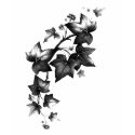 floralivy t-shirts