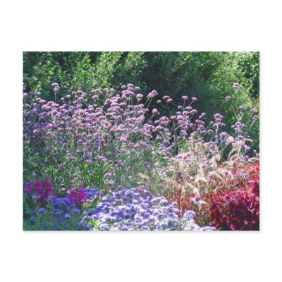 Florals in the English Garden's Postcard by Koobear