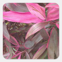 Floras Bolivianas Square Sticker