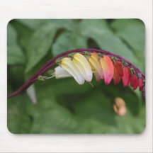 FLORAS FEAST EXOTICA MOUSE MATS