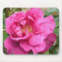 FLORAS FEAST PINK ROSE MOUSE MATS
