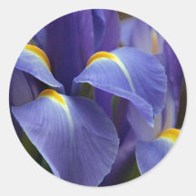 Floras, Flowers Round Stickers