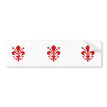 Florence, Italy bumper stickers