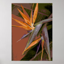 Flores-107 Poster