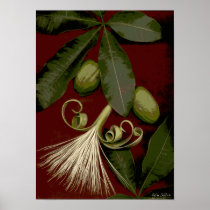 Flores-193 Poster
