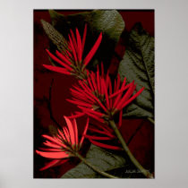 Flores-394 Poster