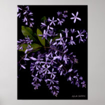 Flores-474 Poster