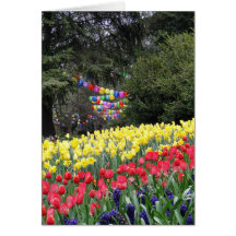 Floriade 2009 greeting card