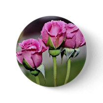 Floribunda 'Angel Face' flowers Button