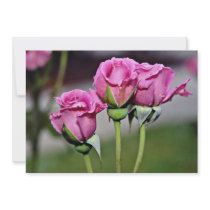 Floribunda 'Angel Face' flowers Custom Invite
