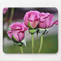Floribunda 'Angel Face' flowers Mouse Pads