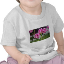 Floribunda 'Angel Face' flowers Shirts
