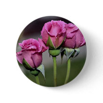 Floribunda 'Angel Face' Roses Pins
