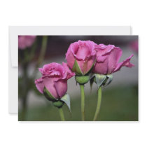 Floribunda 'Angel Face' Roses Personalized Invite