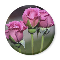 Floribunda 'Angel Face' Roses Fridge Magnet