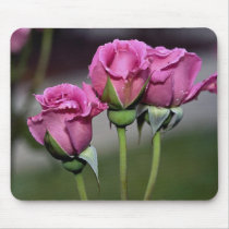 Floribunda 'Angel Face' Roses Mousepad