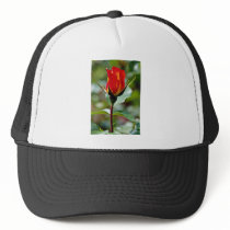 Floribunda 'Charisma'  flowers Mesh Hat