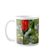 Floribunda 'Charisma'  flowers Mugs