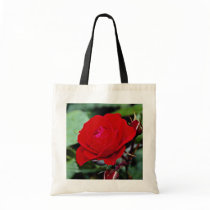 Floribunda 'Europeana' flowers Bags