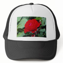 Floribunda 'Europeana' flowers Mesh Hats