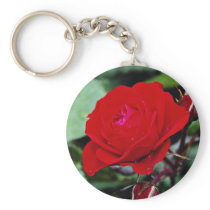 Floribunda 'Europeana' flowers Keychain