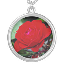 Floribunda 'Europeana' flowers Jewelry