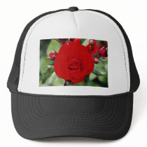 Floribunda 'Europeana' White flowers Trucker Hats