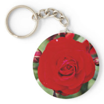 Floribunda 'Europeana' White flowers Keychains