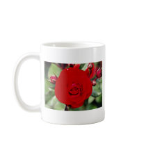 Floribunda 'Europeana' White flowers Mug