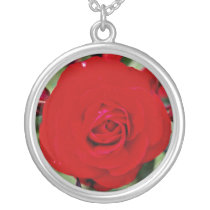 Floribunda 'Europeana' White flowers Pendants