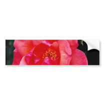 Floribunda flowers bumper stickers