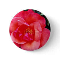Floribunda flowers buttons
