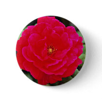Floribunda flowers pinback button
