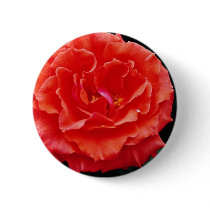 Floribunda flowers pinback button